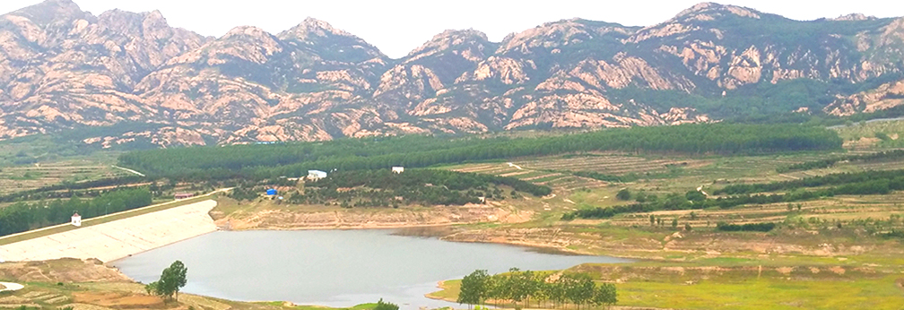 九龍?zhí)端畮? width=