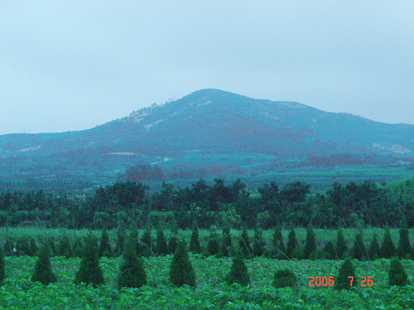 “優質土壤”生態園遠離城鎮，遠離工業區，土壤絕對天然、環保、綠色無污染